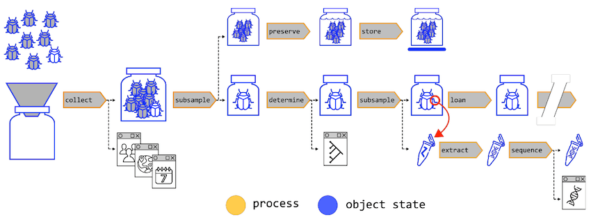 Samplistic Model